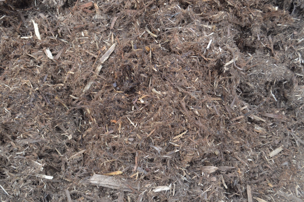 Gorilla Hair Mulch