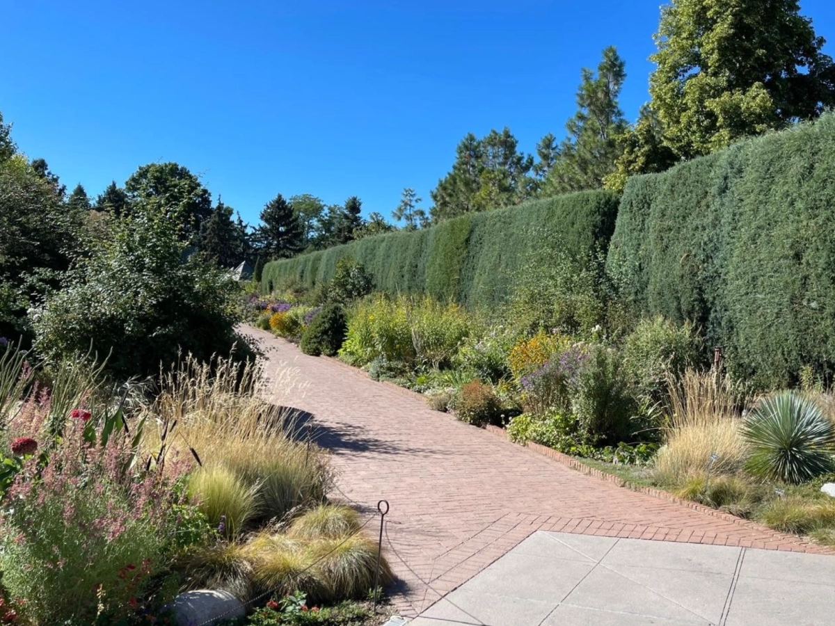 Landscape Design